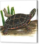 Painted Turtle Canvas Print