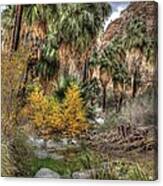 Palm Springs Oasis In Hdr Canvas Print