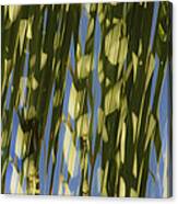 Palm Tree Abstract Canvas Print