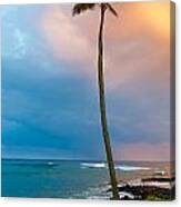 Palm Tree At Sunset. Canvas Print