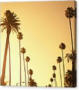 Palm Tree At Sunset On Beverly Hills Canvas Print