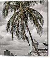 Palm Tree In Havana Bay Canvas Print