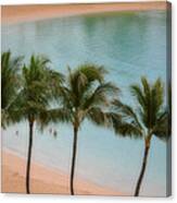 Palm Tree Lagoon Canvas Print