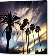 Palm Trees & Sunset Canvas Print