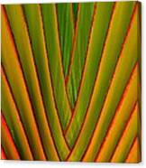 Palm Weave Fine Canvas Print