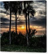 Palms At Sunet Canvas Print