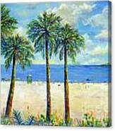 Palms On Siesta Key Beach Canvas Print