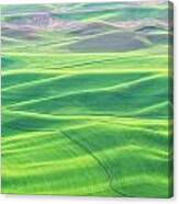 Palouse In Spring Canvas Print