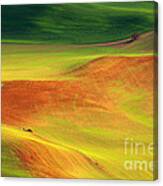 Palouse Patterns Canvas Print