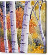 Paper Birches In Autumn Canvas Print