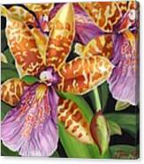 Paradise Orchid Canvas Print