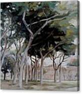 Park In Rom Canvas Print