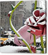 Park Avenue Rose In The Snow Canvas Print