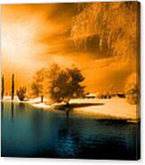 Park In Infrared Canvas Print