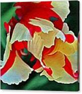 Parrot Tulip In Oils Canvas Print