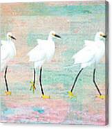 Party Egrets Canvas Print