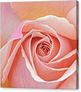 Pastel Passion Canvas Print