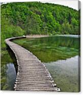 Path To... Canvas Print