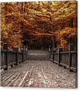 Path To The Wild Wood Canvas Print
