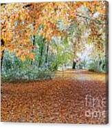 Path Trough The Fall Canvas Print