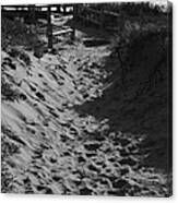 Pathway Through The Dunes Canvas Print