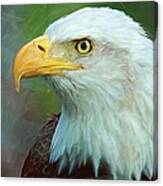 Patriot Canvas Print