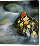 Peacham Brook In Fall Canvas Print