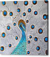 Peacock And Its Beauty Canvas Print