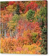 Peak Autumn Colors Canvas Print