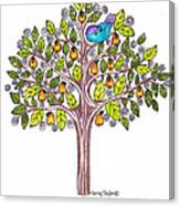 Pear Tree Canvas Print
