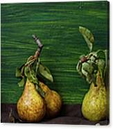 Pears Canvas Print