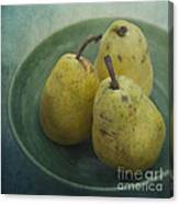 Pears In A Square Canvas Print