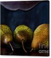 Pears On A Chair Canvas Print