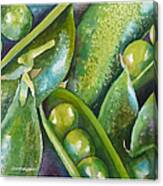 Peas In A Pod Canvas Print