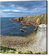Pebble Cove, Bloody Forelands Point Canvas Print