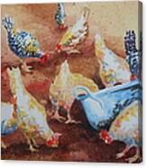 Peck And Choose Canvas Print