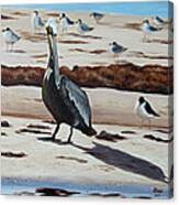 Pelican Beach Canvas Print