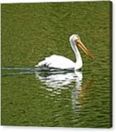 Pelican Reflection On Lake Canvas Print