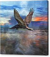 Pelican Sunrise Canvas Print