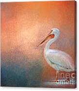 Pelican Walk Canvas Print