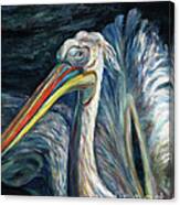 Pelican Canvas Print