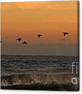 Pelicans At Sunrise 4674 Canvas Print