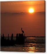 Pelicans In Silhouette In Texas Canvas Print