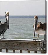 Pelicans On The Pier At Fort Myers Beach In Florida Canvas Print