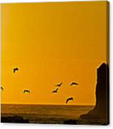 Pelicans On The Wing Ii Canvas Print