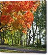Peoria Riverfront Park In Autumn Two Canvas Print