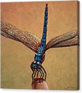 Pet Dragonfly Canvas Print