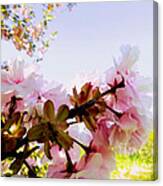 Petals In The Wind Canvas Print
