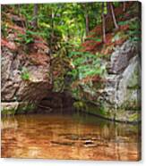 Pewits Nest Canvas Print