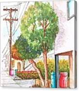 Phone Pole In Venice Canals - California Canvas Print